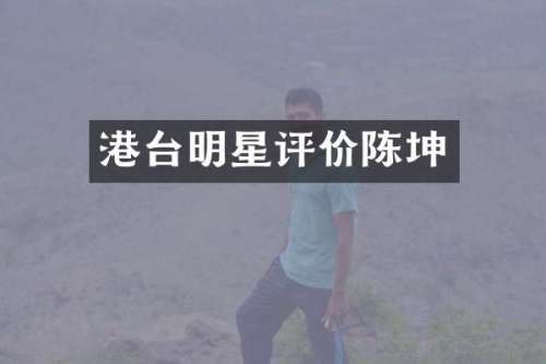 港台明星评价陈坤
