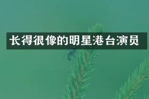 长得很像的明星港台演员