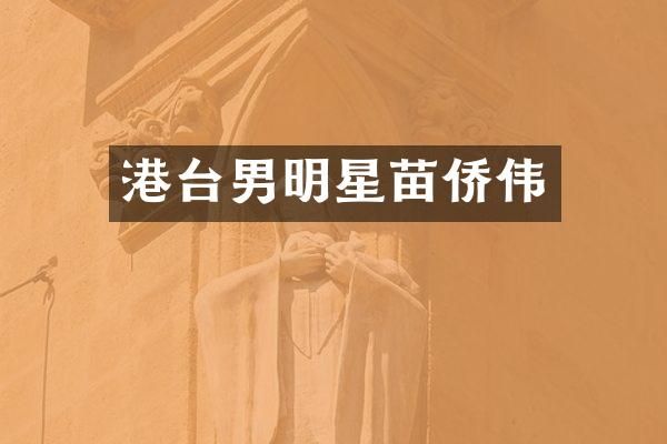港台男明星苗侨伟