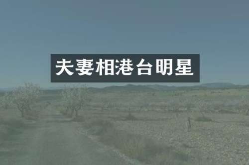 夫妻相港台明星