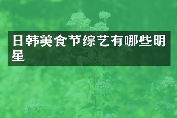 日韩美食节综艺有哪些明星