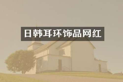 日韩耳环饰品网红