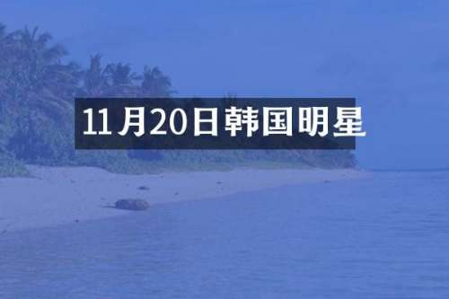 11月20日韩国明星