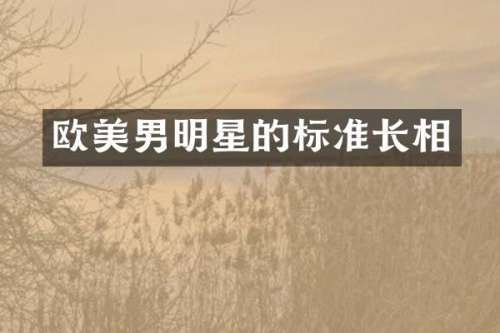欧美男明星的标准长相