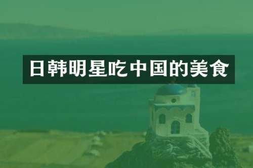日韩明星吃中国的美食