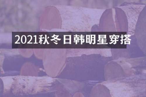 2021秋冬日韩明星穿搭