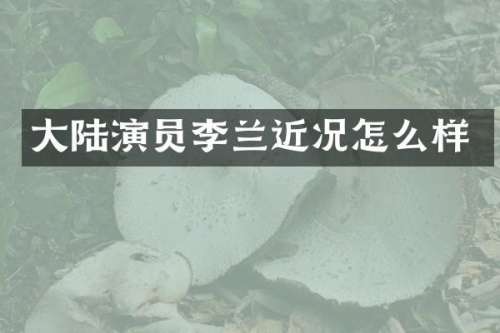 大陆演员李兰近况怎么样