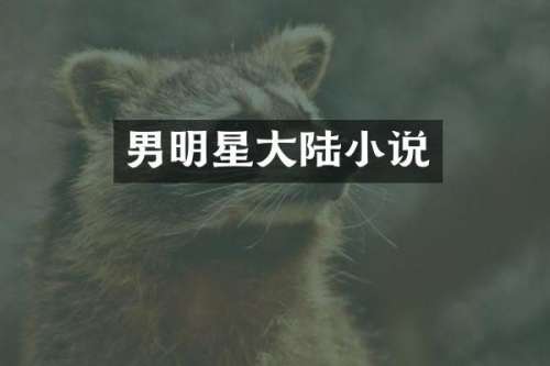 男明星大陆小说
