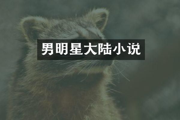 男明星大陆小说