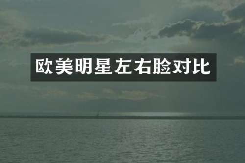 欧美明星左右脸对比