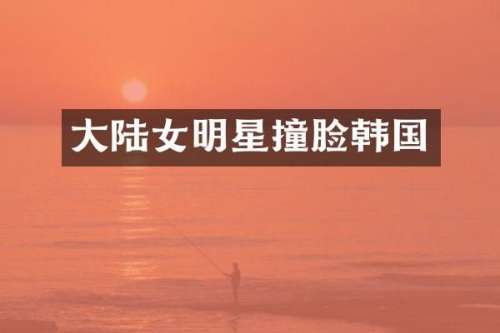 大陆女明星撞脸韩国