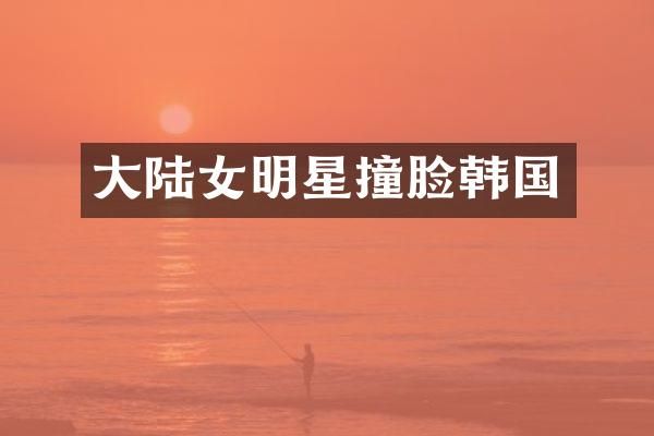 大陆女明星撞脸韩国