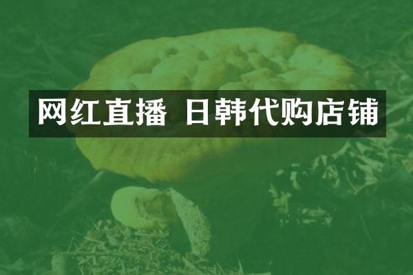 网红直播 日韩代购店铺