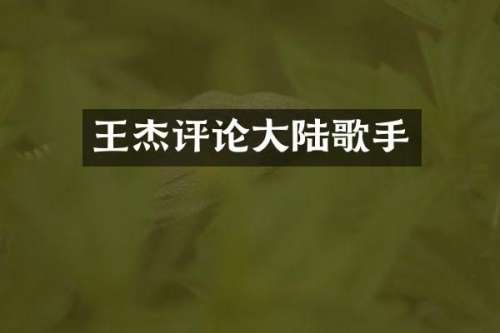 王杰评论大陆歌手