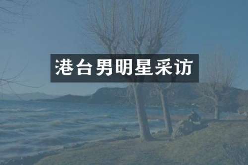 港台男明星采访