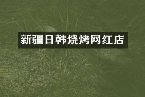 新疆日韩烧烤网红店