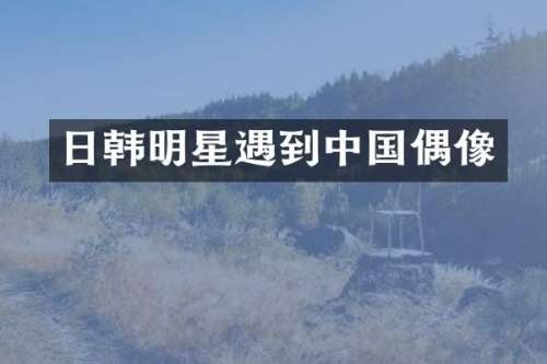 日韩明星遇到中国偶像