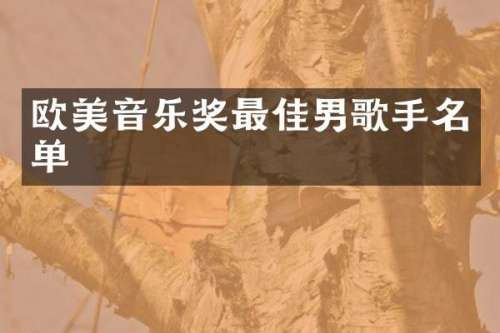 欧美音乐奖最佳男歌手名单