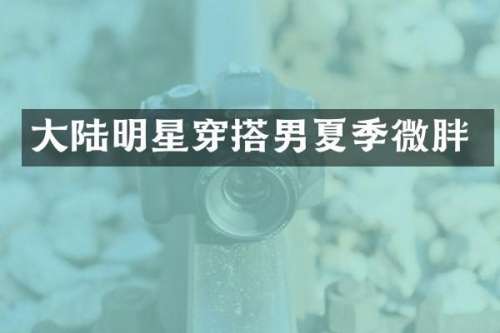 大陆明星穿搭男夏季微胖