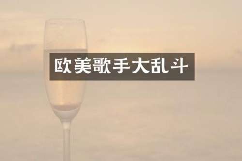 欧美歌手大乱斗