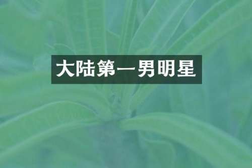 大陆第一男明星