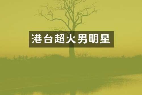 港台超火男明星