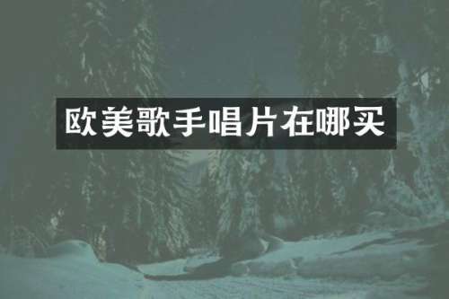 欧美歌手唱片在哪买