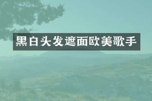 黑白头发遮面欧美歌手