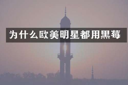 为什么欧美明星都用黑莓