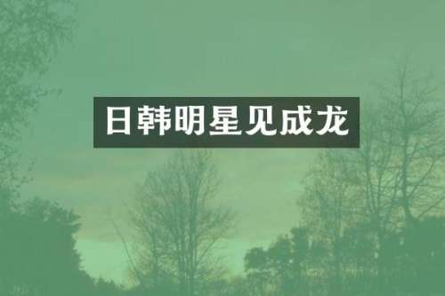 日韩明星见成龙