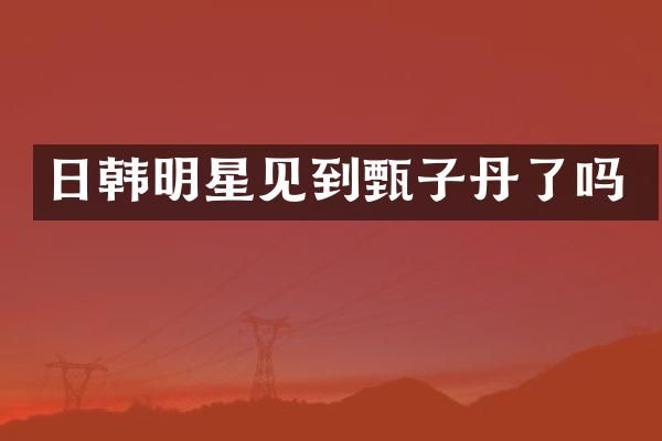 日韩明星见到甄子丹了吗