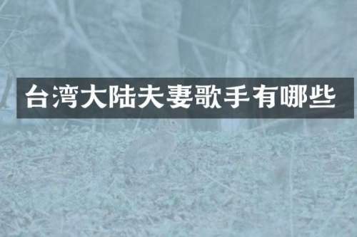 台湾大陆夫妻歌手有哪些