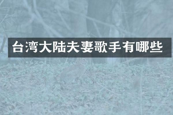台湾大陆夫妻歌手有哪些