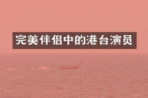 完美伴侣中的港台演员