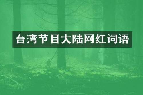 台湾节目大陆网红词语