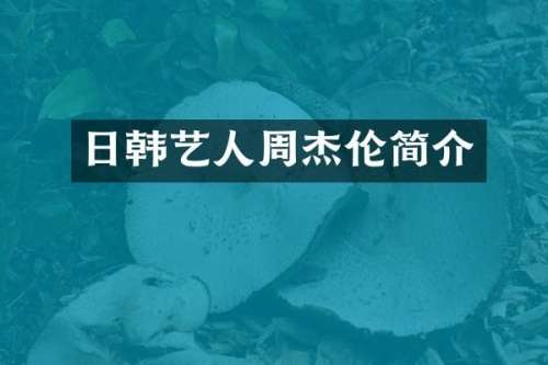 日韩艺人周杰伦简介