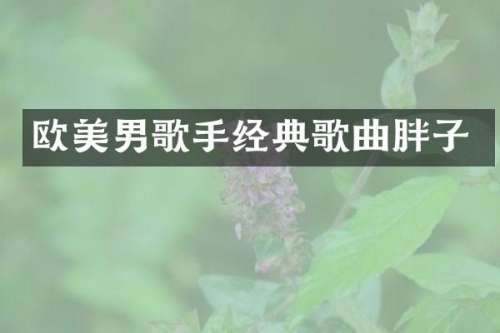 欧美男歌手经典歌曲胖子