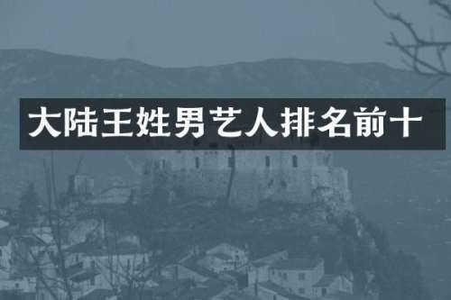 大陆王姓男艺人排名前十