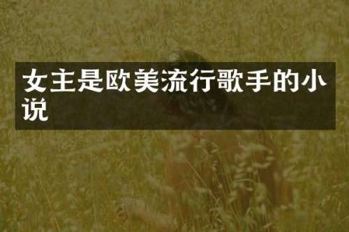 女主是欧美流行歌手的小说