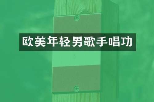 欧美年轻男歌手唱功