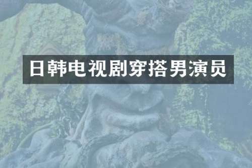 日韩电视剧穿搭男演员