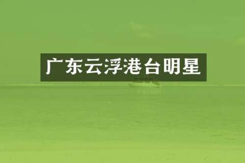 广东云浮港台明星