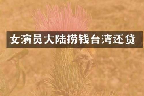 女演员大陆捞钱台湾还贷
