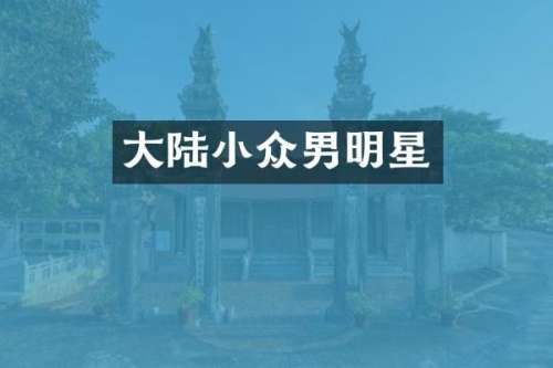 大陆小众男明星