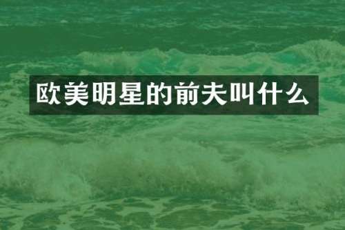 欧美明星的前夫叫什么