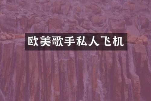 欧美歌手私人飞机