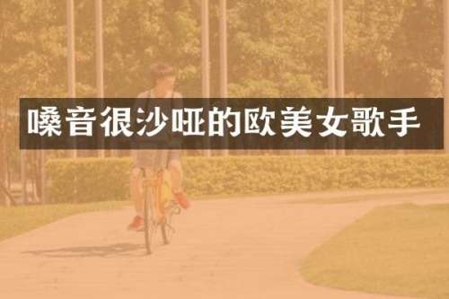 嗓音很沙哑的欧歌手