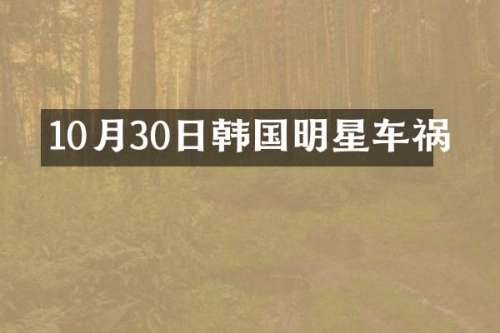10月30日韩国明星车祸