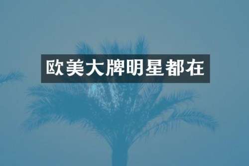 欧美大牌明星都在