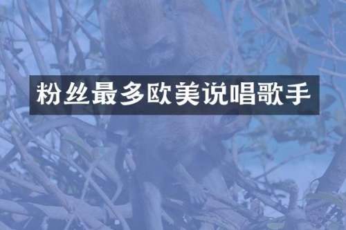 粉丝最多欧美说唱歌手